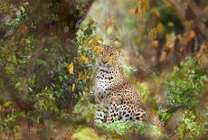 Wilde-gallery-04