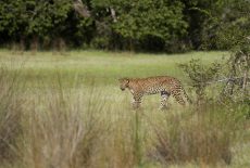 Wilde-gallery-06