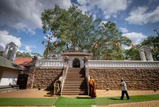 gallery-20