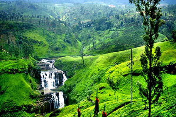 Nuwara Eliya