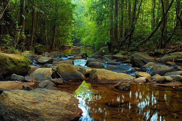 Sinharaja Forest Reserve