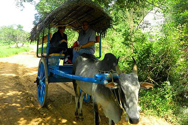 Village Trek